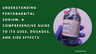 Image of Understanding Pentobarbital Sodium guide book cover with blue and white color scheme