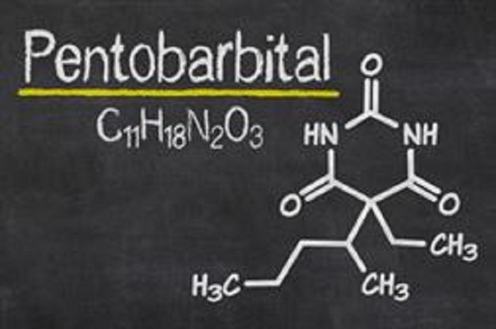 Precio de Pentobarbital para Uso Veterinario España: Guía Completa 2025