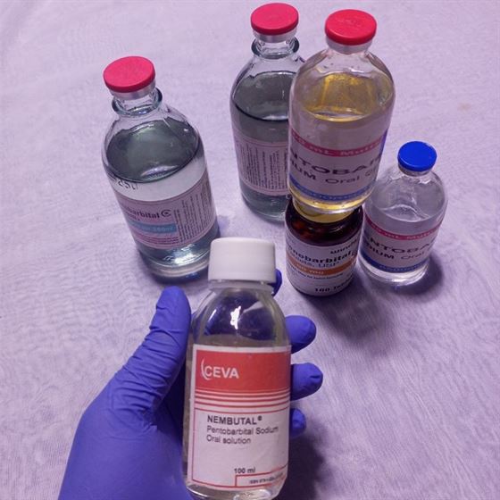 Dónde Se Puede Comprar Nembutal En Línea