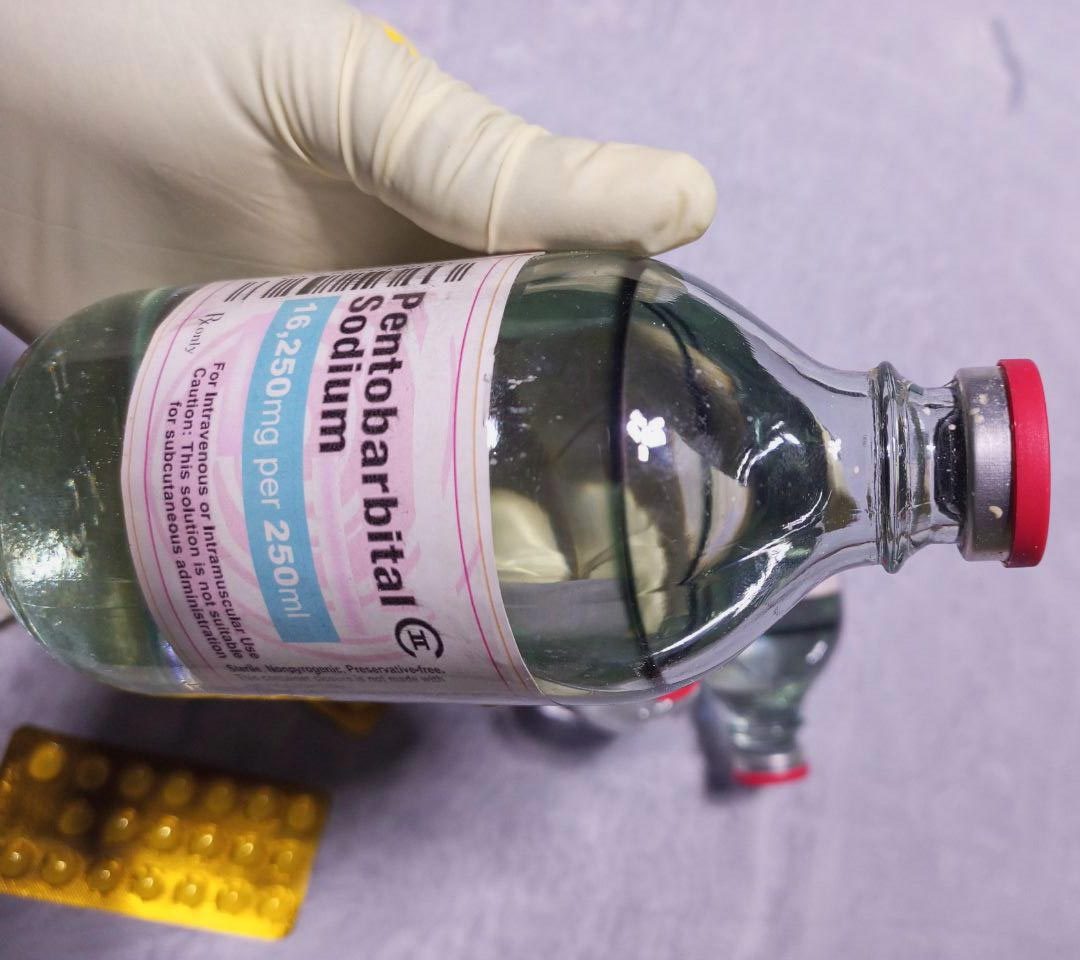 Buy Pentobarbital Sodium Online Safely