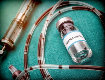 Réglementations Légales : Comment Acheter du Pentobarbital pour Animaux en France ?